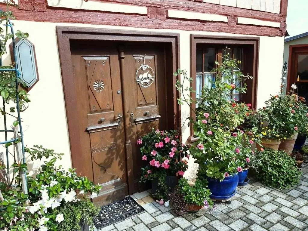 Hollfeld Ferienhaeuschen Rosi Brehm 아파트 독일